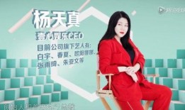 艺涵最新爆料新闻报道,揭秘娱乐圈最新动态